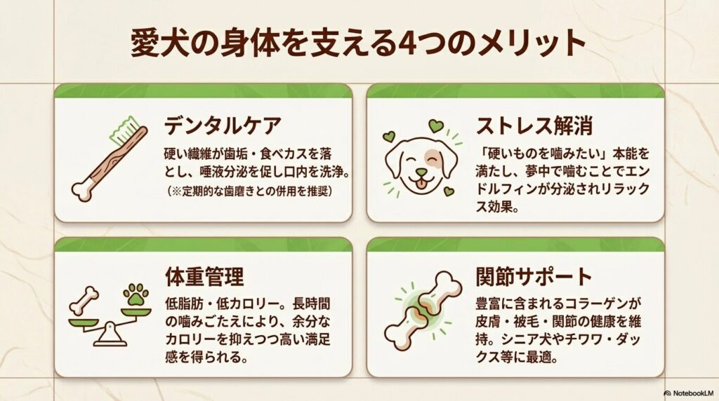 馬アキレスが愛犬にもたらす4つのメリット（デンタルケア、ストレス解消、体重管理、関節サポート）