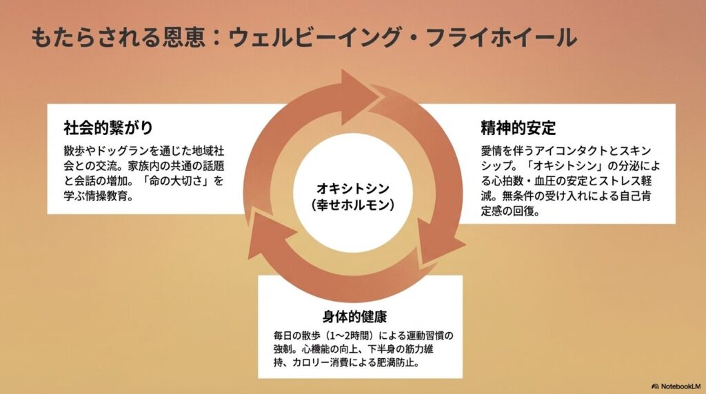 犬がもたらす恩恵の循環図。社会的繋がり、精神的安定（オキシトシンの分泌）、身体的健康の3つの要素が互いに良い影響を与え合う。