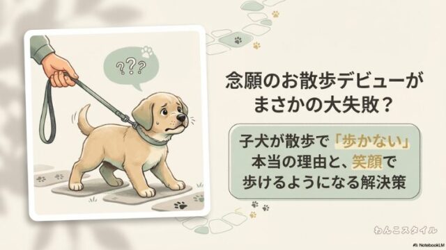 子犬が散歩で歩かない本当の理由と笑顔で歩ける解決策