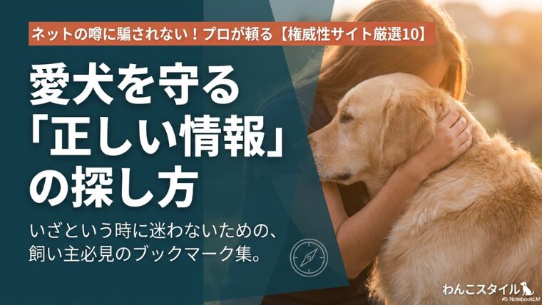 リンク集