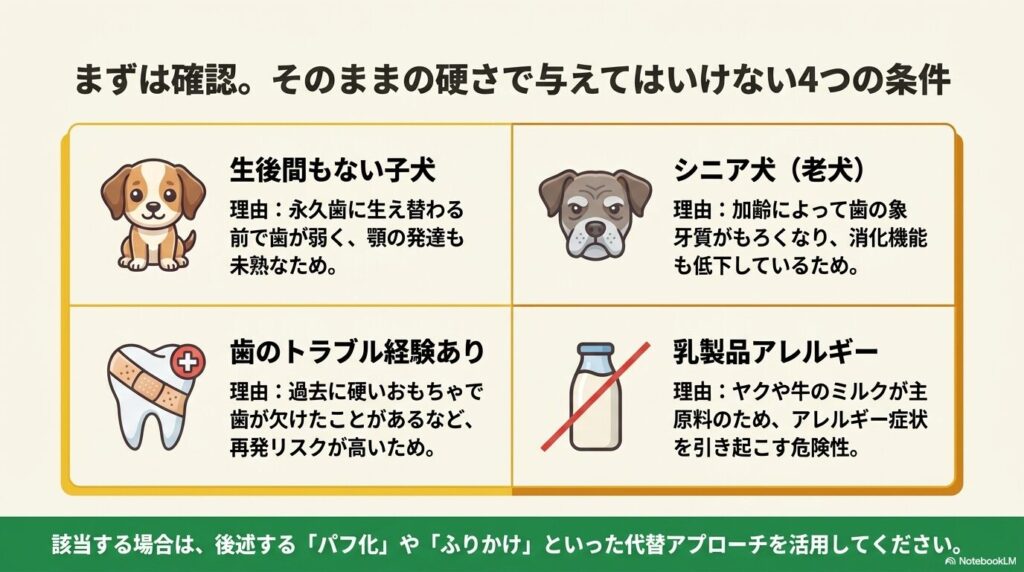 ヒマラヤチーズを硬いまま与えてはいけない4つの条件(子犬、シニア犬、歯のトラブル経験あり、乳製品アレルギー)