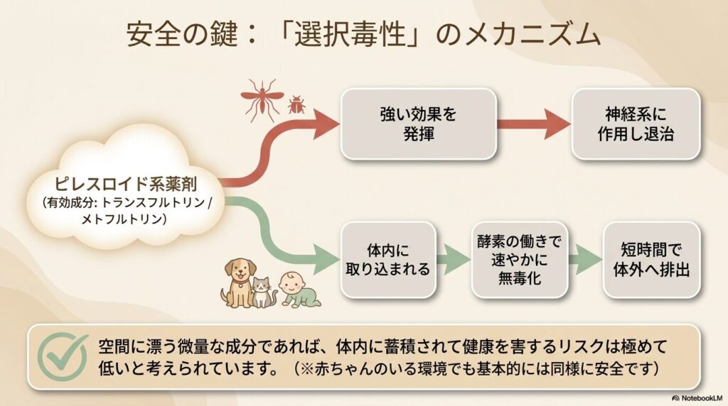 選択毒性のメカニズムを図解したスライド。ピレスロイド系薬剤が虫には強い効果を発揮し、哺乳類では速やかに無毒化され排出される仕組み。
