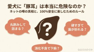 豚耳を犬に与える際の危険性や下痢・歯が折れるなどの噂の真相と、安全に楽しむためのルールを解説したスライド資料の表紙画像