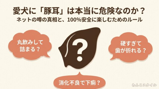 豚耳を犬に与える際の危険性や下痢・歯が折れるなどの噂の真相と、安全に楽しむためのルールを解説したスライド資料の表紙画像