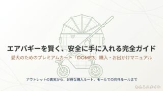 エアバギーを賢く安全に手に入れる完全ガイドの表紙画像