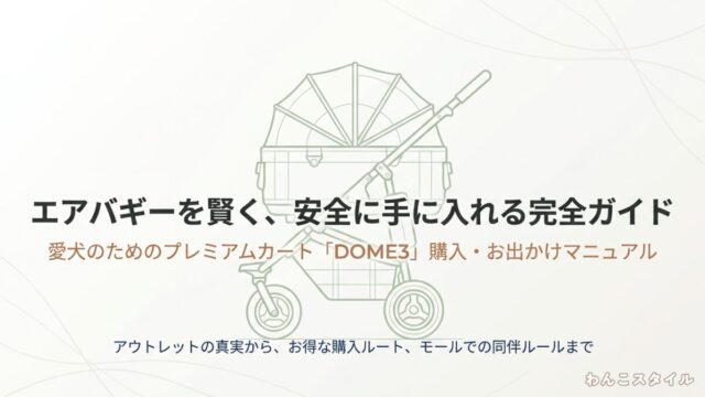 エアバギーを賢く安全に手に入れる完全ガイドの表紙画像