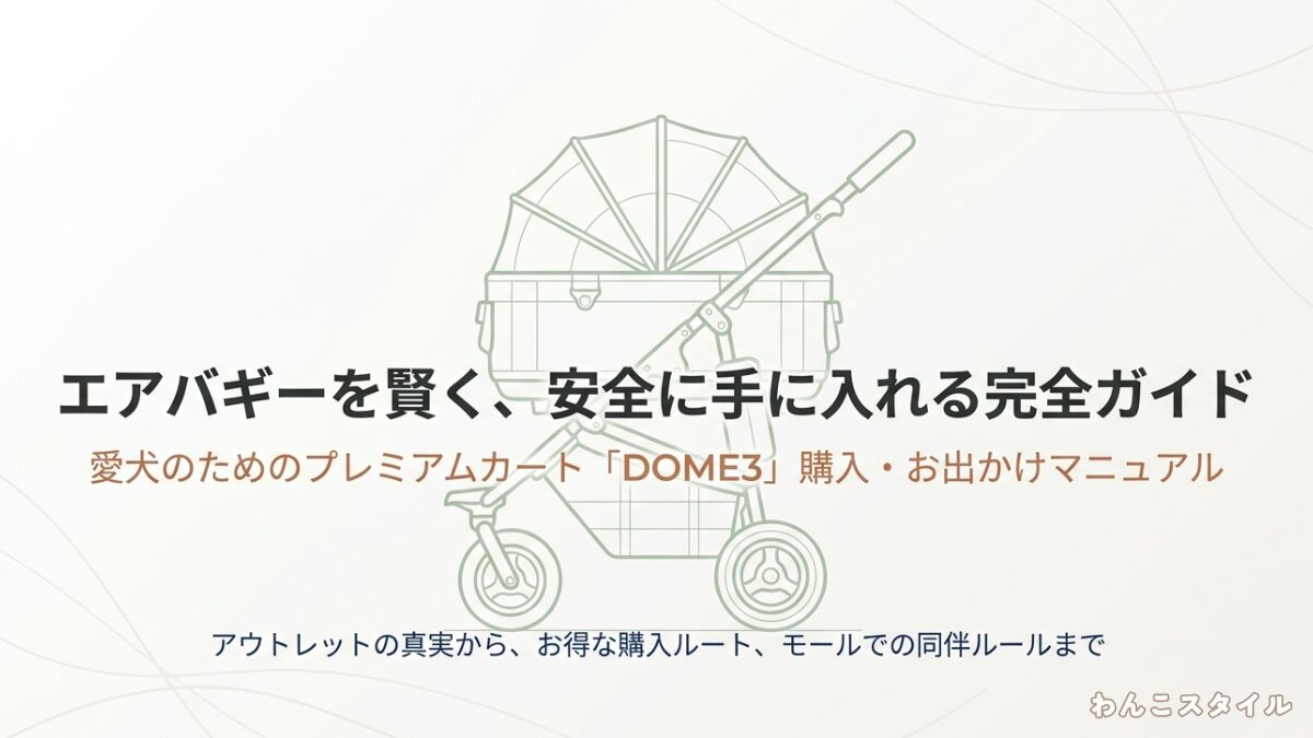 エアバギーを賢く安全に手に入れる完全ガイドの表紙画像