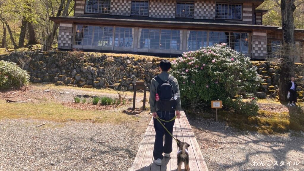 木道を歩いて大きな木造建物の前に向かう飼い主と小型犬の後ろ姿