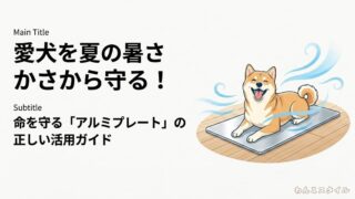 犬の暑さ対策に役立つアルミプレートの正しい使い方ガイド