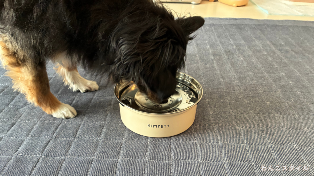 KIMPETSの水飲みボウルに顔を近づけて水を飲む犬
